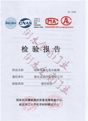 泡沫混凝土复合板墙检验报告